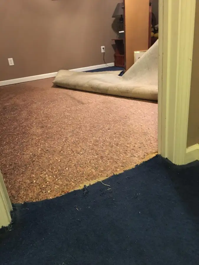 Carpet pad removal revealing water damage during Drying & Dehumidification in Timberlane