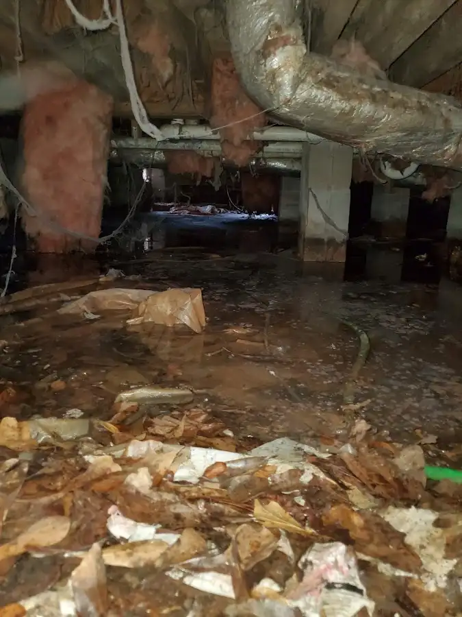 Crawl space flood assessment for Commercial Water Damage Restoration in Timberlane