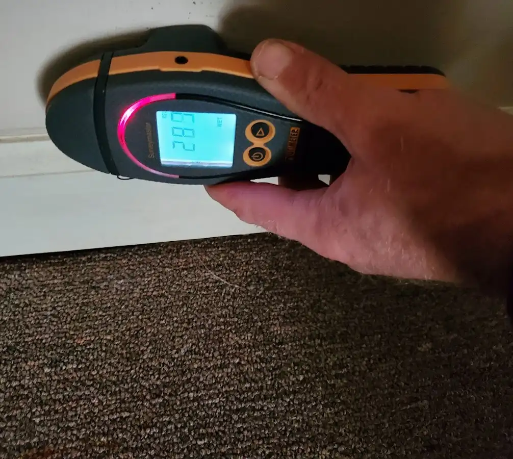 Moisture detection at baseboard during Sewage Cleanup & Sanitation in Timberlane
