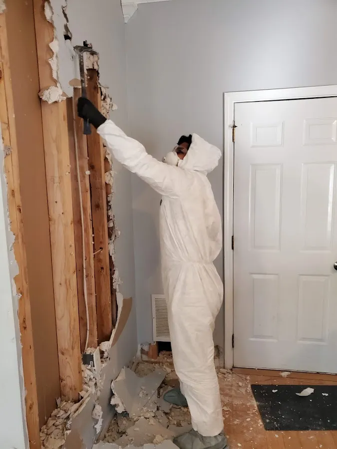 Water Damage Assessment in Timberlane, LA
